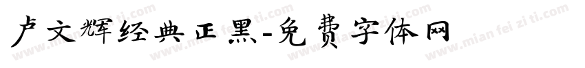卢文辉经典正黑字体转换