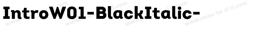 IntroW01-BlackItalic字体转换