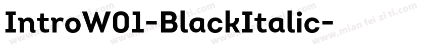 IntroW01-BlackItalic字体转换