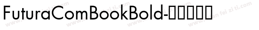 FuturaComBookBold字体转换