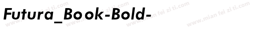 Futura_Book-Bold字体转换