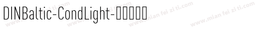DINBaltic-CondLight字体转换