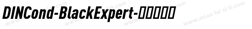 DINCond-BlackExpert字体转换