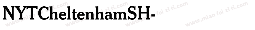 NYTCheltenhamSH字体转换
