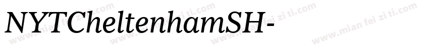 NYTCheltenhamSH字体转换