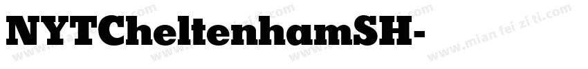 NYTCheltenhamSH字体转换