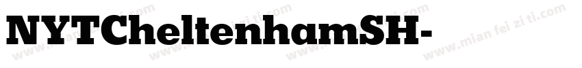 NYTCheltenhamSH字体转换