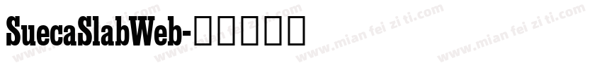 SuecaSlabWeb字体转换