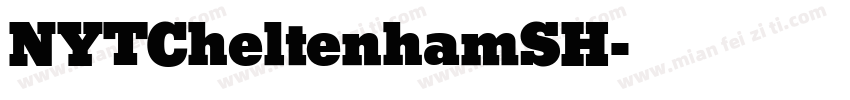 NYTCheltenhamSH字体转换