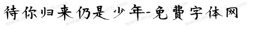 待你归来仍是少年字体转换