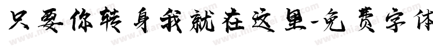 只要你转身我就在这里字体转换