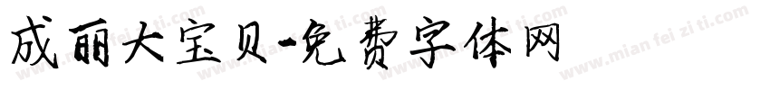 成丽大宝贝字体转换