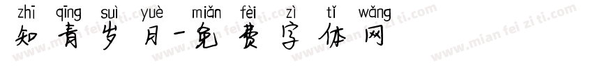 知青岁月字体转换