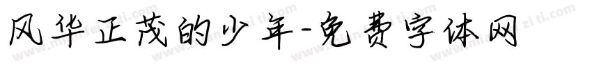 风华正茂的少年字体转换