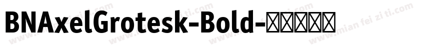 BNAxelGrotesk-Bold字体转换