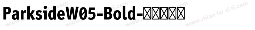 ParksideW05-Bold字体转换