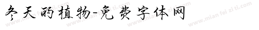 冬天的植物字体转换