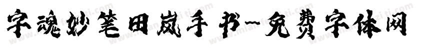 字魂妙笔田岚手书字体转换