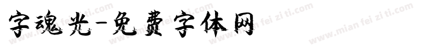 字魂光字体转换