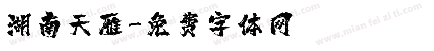 湖南天雁字体转换