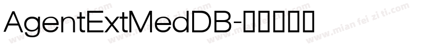 AgentExtMedDB字体转换