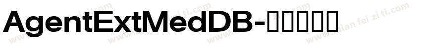 AgentExtMedDB字体转换