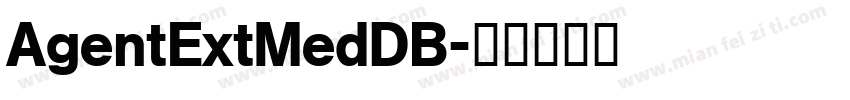 AgentExtMedDB字体转换
