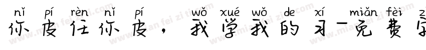 你皮任你皮，我学我的习字体转换