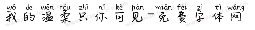我的温柔只你可见字体转换