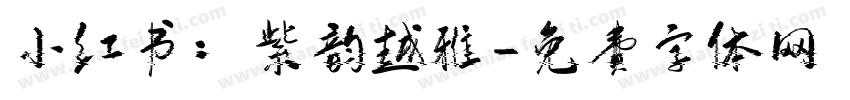 小红书：紫韵越雅字体转换