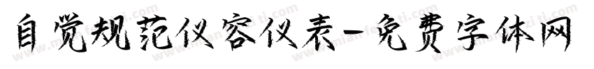自觉规范仪容仪表字体转换