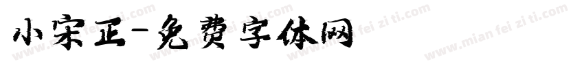 小宋正字体转换