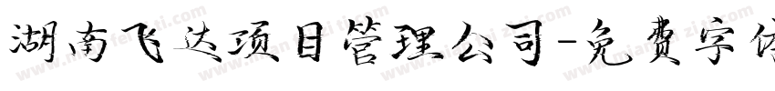 湖南飞达项目管理公司字体转换