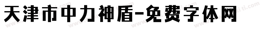 天津市中力神盾字体转换