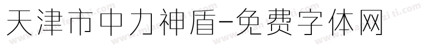 天津市中力神盾字体转换