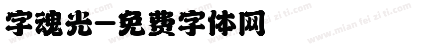 字魂光字体转换