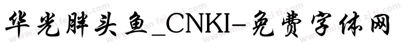 华光胖头鱼_CNKI字体转换
