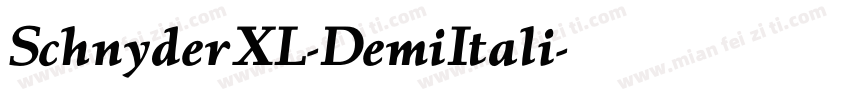 SchnyderXL-DemiItali字体转换