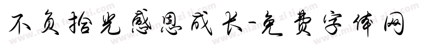 不负拾光感恩成长字体转换