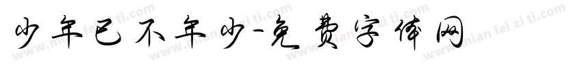 少年已不年少字体转换