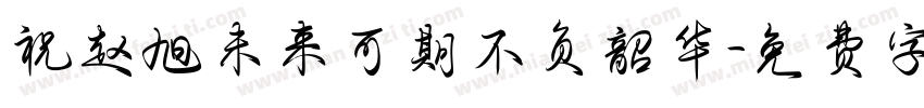 祝赵旭未来可期不负韶华字体转换