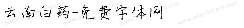云南白药字体转换