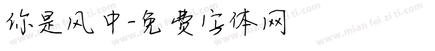 你是风中字体转换