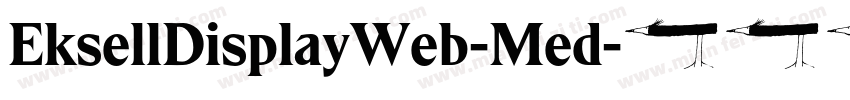 EksellDisplayWeb-Med字体转换