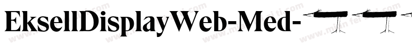 EksellDisplayWeb-Med字体转换