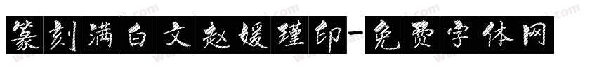 篆刻满白文赵媛瑾印字体转换