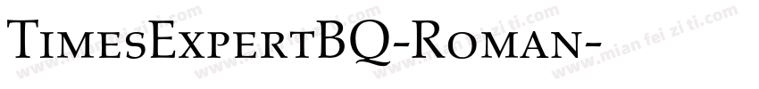 TimesExpertBQ-Roman字体转换