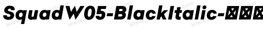 SquadW05-BlackItalic字体转换