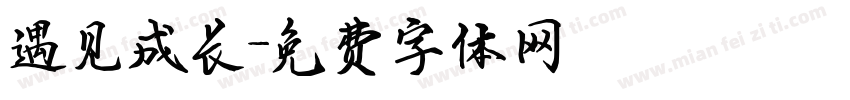 遇见成长字体转换