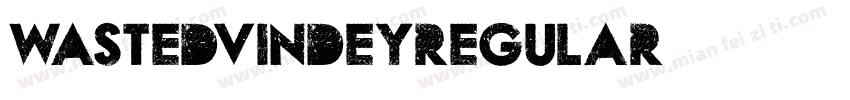 WastedVindeyRegular字体转换
